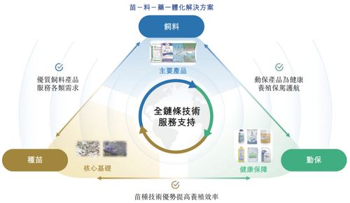 海大國際遞表港交所 分拆自海大集團(tuán)，2024年凈利潤強(qiáng)勢翻倍